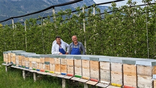 Consorzio Mela Alto Adige