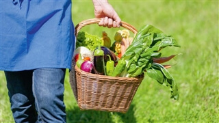 Consorzio Mela Alto Adige